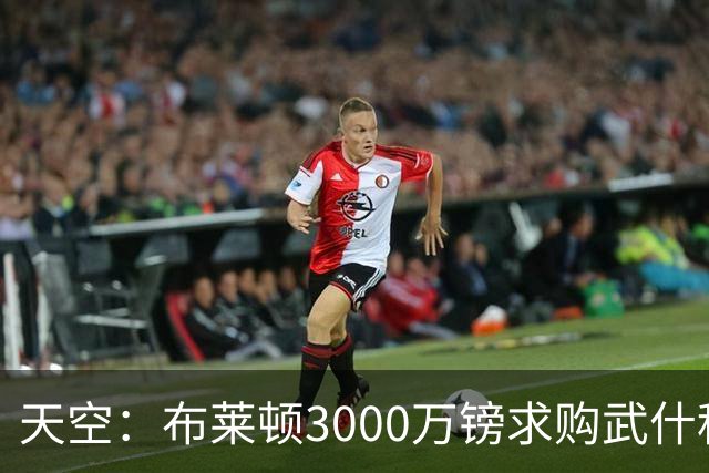 天空：布莱顿3000万镑求购武什科维奇，预计热刺对其估值超6000万